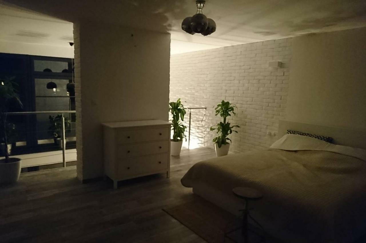 Apartment Loft 100 M2 Centrum