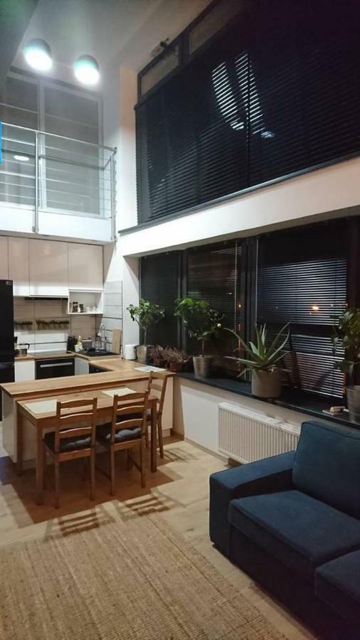 Apartment Loft 100 M2 Centrum *