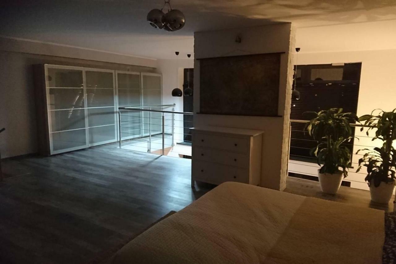 Loft 100 M2 Centrum
